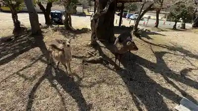 東大寺(奈良県)