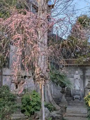 蓮華寺(東京都)