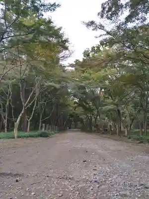 平林寺(埼玉県)