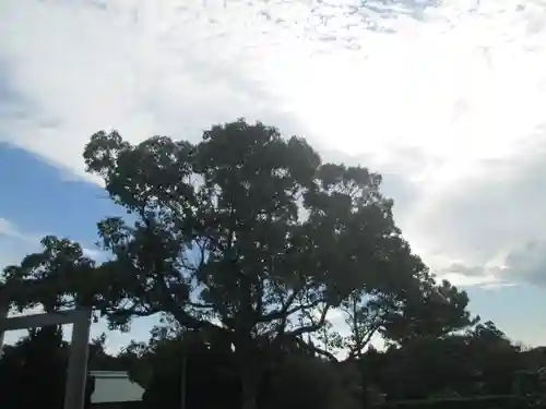 屋久島大社(鹿児島県)