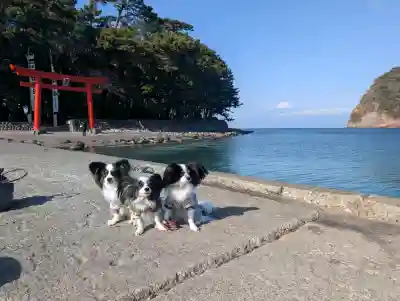 諸口神社の{uncategorized: "未分類", other: "その他", undefined: "問題あり", building: "その他建物", grave: "お墓", sacred_gate: "鳥居", guardian: "狛犬", statue: "像", buddha: "仏像", history: "歴史", nature: "自然", garden: "庭園", animal: "動物", pagoda: "塔", temizu: "手水舎", mountain_gate: "山門・神門", sanctuary: "本殿・本堂", subordinate: "末社・摂社", art: "芸術", scenery: "景色", jizo: "地蔵", ema: "絵馬", goshuin: "御朱印", omikuji: "おみくじ", items: "授与品その他", amulet: "お守り", goshuincho: "御朱印帳", eats: "食事", festival: "お祭り", votive_dance: "神楽", shichigosan: "七五三参", wedding: "結婚式", experience: "体験その他", initially: "初詣", around: "周辺", anti_infection: "感染症対策"}