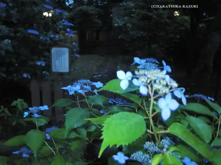 伊勢山皇大神宮(神奈川県)
