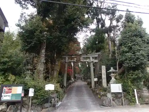 崇道神社の鳥居