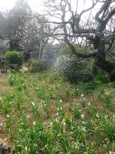 瑞泉寺の庭園