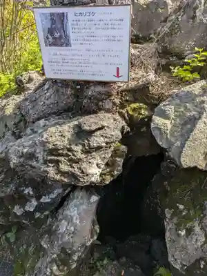 寛永寺別院浅間山観音堂の自然