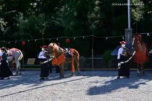 寒川神社の動物