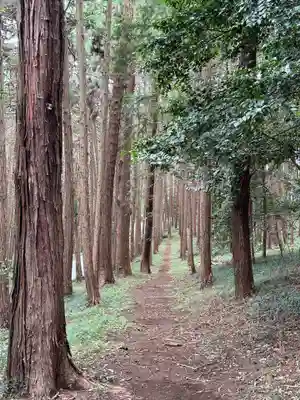 出雲伊波比神社(埼玉県)