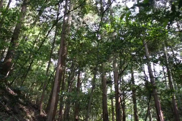 日向大神宮(京都府)