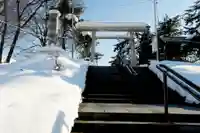 滝川神社の鳥居