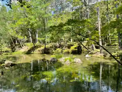 西芳寺(京都府)