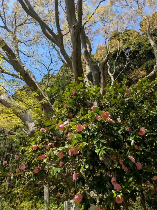 函館八幡宮の{uncategorized: "未分類", other: "その他", undefined: "問題あり", building: "その他建物", grave: "お墓", sacred_gate: "鳥居", guardian: "狛犬", statue: "像", buddha: "仏像", history: "歴史", nature: "自然", garden: "庭園", animal: "動物", pagoda: "塔", temizu: "手水舎", mountain_gate: "山門・神門", sanctuary: "本殿・本堂", subordinate: "末社・摂社", art: "芸術", scenery: "景色", jizo: "地蔵", ema: "絵馬", goshuin: "御朱印", omikuji: "おみくじ", items: "授与品その他", amulet: "お守り", goshuincho: "御朱印帳", eats: "食事", festival: "お祭り", votive_dance: "神楽", shichigosan: "七五三参", wedding: "結婚式", experience: "体験その他", initially: "初詣", around: "周辺", anti_infection: "感染症対策"}