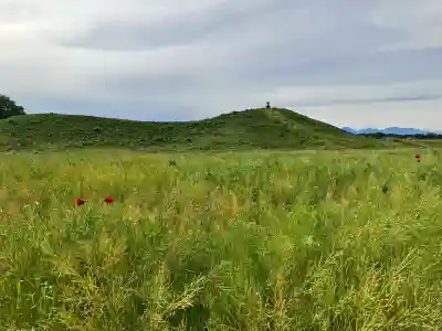 熊野神社(琵琶塚古墳）(栃木県)