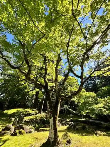 北畠神社の{uncategorized: "未分類", other: "その他", undefined: "問題あり", building: "その他建物", grave: "お墓", sacred_gate: "鳥居", guardian: "狛犬", statue: "像", buddha: "仏像", history: "歴史", nature: "自然", garden: "庭園", animal: "動物", pagoda: "塔", temizu: "手水舎", mountain_gate: "山門・神門", sanctuary: "本殿・本堂", subordinate: "末社・摂社", art: "芸術", scenery: "景色", jizo: "地蔵", ema: "絵馬", goshuin: "御朱印", omikuji: "おみくじ", items: "授与品その他", amulet: "お守り", goshuincho: "御朱印帳", eats: "食事", festival: "お祭り", votive_dance: "神楽", shichigosan: "七五三参", wedding: "結婚式", experience: "体験その他", initially: "初詣", around: "周辺", anti_infection: "感染症対策"}