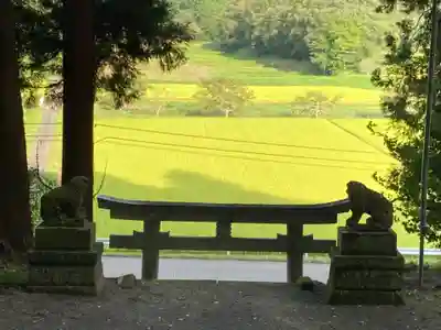 大宮温泉神社の鳥居