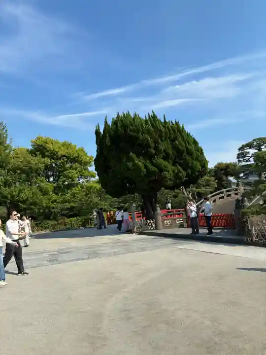 鶴岡八幡宮(神奈川県)