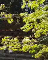 日光山輪王寺 大猷院(栃木県)