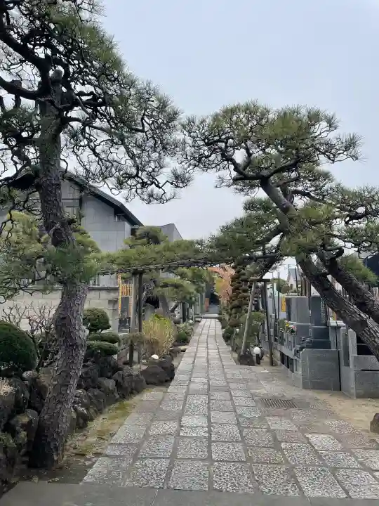 善慶寺の{uncategorized: "未分類", other: "その他", undefined: "問題あり", building: "その他建物", grave: "お墓", sacred_gate: "鳥居", guardian: "狛犬", statue: "像", buddha: "仏像", history: "歴史", nature: "自然", garden: "庭園", animal: "動物", pagoda: "塔", temizu: "手水舎", mountain_gate: "山門・神門", sanctuary: "本殿・本堂", subordinate: "末社・摂社", art: "芸術", scenery: "景色", jizo: "地蔵", ema: "絵馬", goshuin: "御朱印", omikuji: "おみくじ", items: "授与品その他", amulet: "お守り", goshuincho: "御朱印帳", eats: "食事", festival: "お祭り", votive_dance: "神楽", shichigosan: "七五三参", wedding: "結婚式", experience: "体験その他", initially: "初詣", around: "周辺", anti_infection: "感染症対策"}