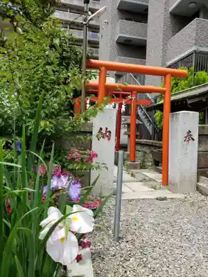 磐井神社(東京都)