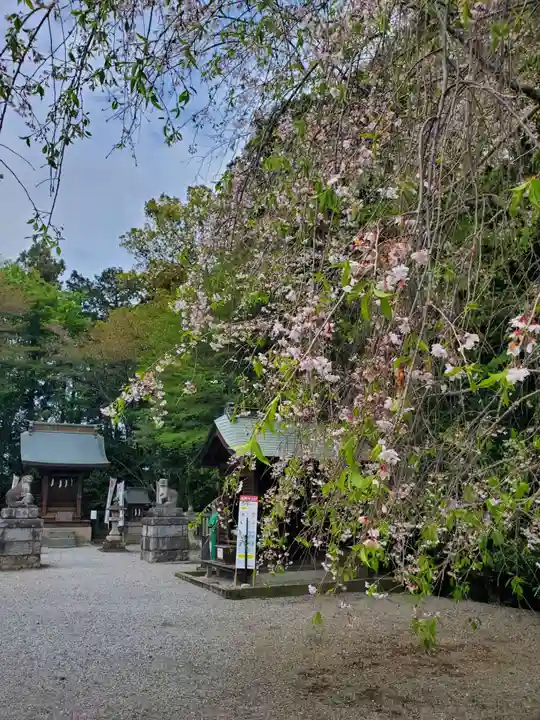 白鷺神社(栃木県)