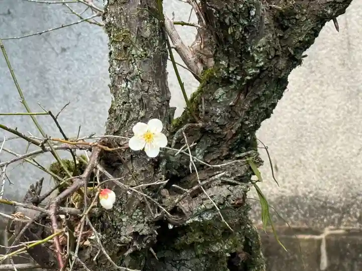 伊勢の国 四天王寺(三重県)