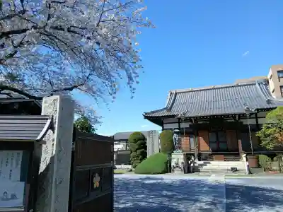 観音寺の{uncategorized: "未分類", other: "その他", undefined: "問題あり", building: "その他建物", grave: "お墓", sacred_gate: "鳥居", guardian: "狛犬", statue: "像", buddha: "仏像", history: "歴史", nature: "自然", garden: "庭園", animal: "動物", pagoda: "塔", temizu: "手水舎", mountain_gate: "山門・神門", sanctuary: "本殿・本堂", subordinate: "末社・摂社", art: "芸術", scenery: "景色", jizo: "地蔵", ema: "絵馬", goshuin: "御朱印", omikuji: "おみくじ", items: "授与品その他", amulet: "お守り", goshuincho: "御朱印帳", eats: "食事", festival: "お祭り", votive_dance: "神楽", shichigosan: "七五三参", wedding: "結婚式", experience: "体験その他", initially: "初詣", around: "周辺", anti_infection: "感染症対策"}
