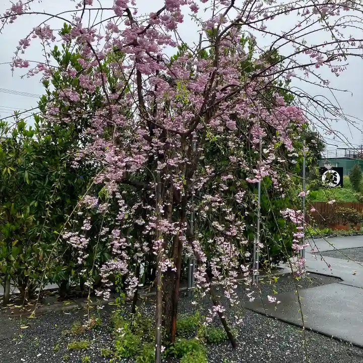 富知六所浅間神社(静岡県)