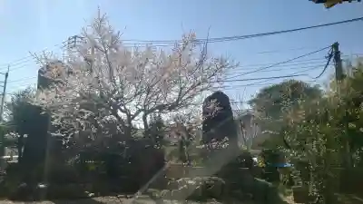 谷保天満宮(東京都)