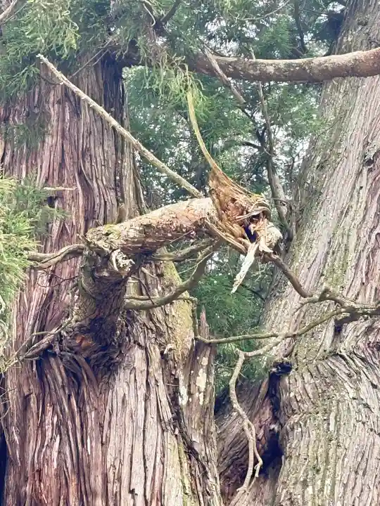 高岡神社の{uncategorized: "未分類", other: "その他", undefined: "問題あり", building: "その他建物", grave: "お墓", sacred_gate: "鳥居", guardian: "狛犬", statue: "像", buddha: "仏像", history: "歴史", nature: "自然", garden: "庭園", animal: "動物", pagoda: "塔", temizu: "手水舎", mountain_gate: "山門・神門", sanctuary: "本殿・本堂", subordinate: "末社・摂社", art: "芸術", scenery: "景色", jizo: "地蔵", ema: "絵馬", goshuin: "御朱印", omikuji: "おみくじ", items: "授与品その他", amulet: "お守り", goshuincho: "御朱印帳", eats: "食事", festival: "お祭り", votive_dance: "神楽", shichigosan: "七五三参", wedding: "結婚式", experience: "体験その他", initially: "初詣", around: "周辺", anti_infection: "感染症対策"}