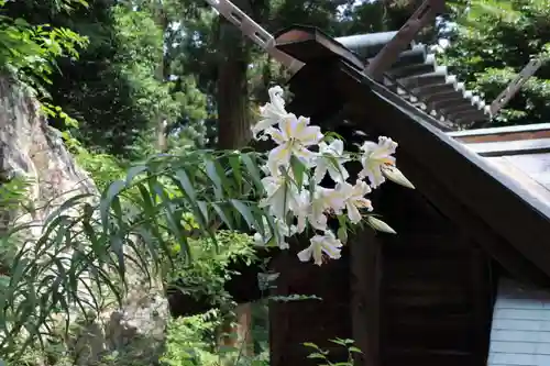 鹿島大神宮の庭園