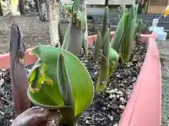 大宮温泉神社の自然