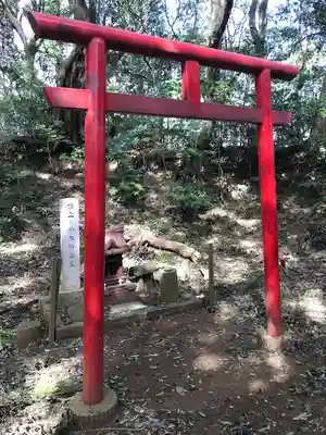 冨士浅間神社の鳥居