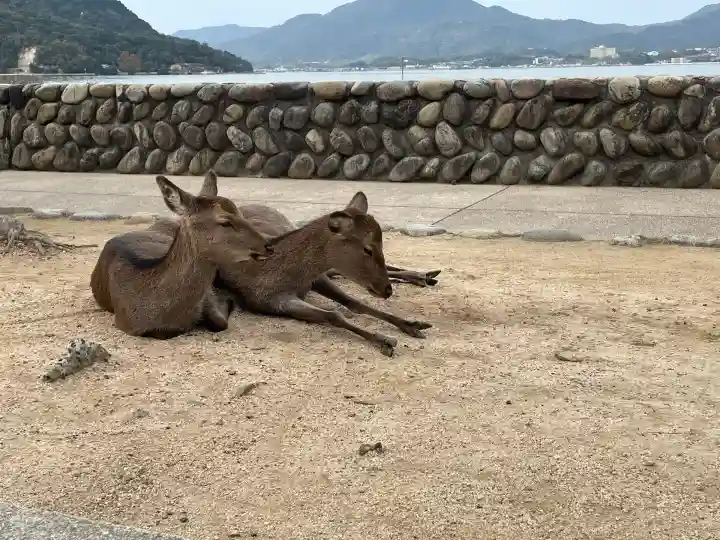 厳島神社(広島県)