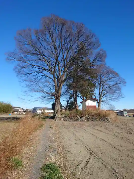 松森稲荷神社(埼玉県)
