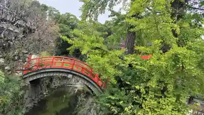 賀茂御祖神社（下鴨神社）(京都府)