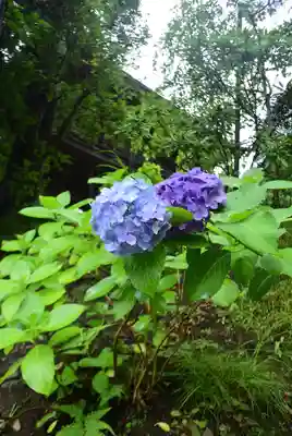 円覚寺(神奈川県)