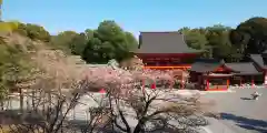 近江神宮の建物その他