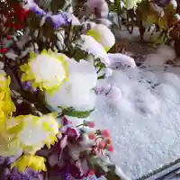 滑川神社 - 仕事と子どもの守り神の手水舎