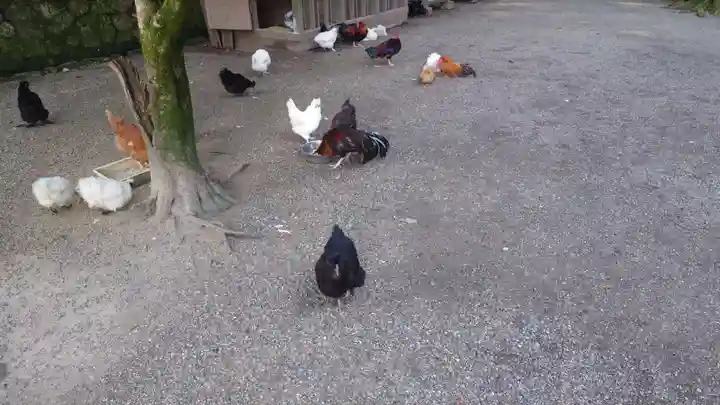 石上神宮(奈良県)