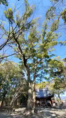 熊野神社の自然