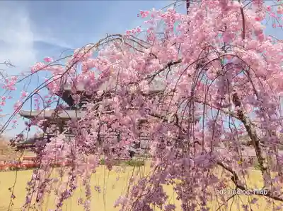 東大寺(奈良県)