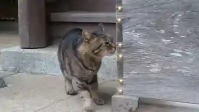 玉﨑神社の動物