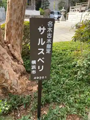 定光寺(神奈川県)