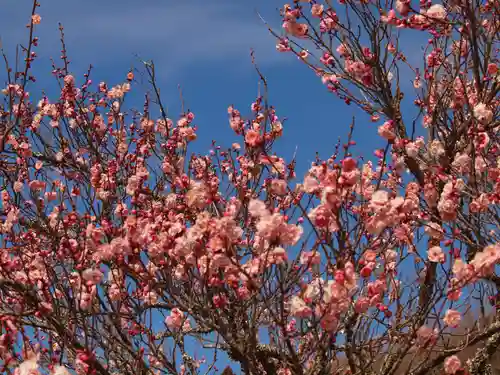 筑波山神社(茨城県)