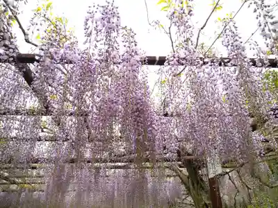 和氣神社(和気神社)の自然