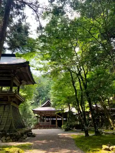 八幡神社（武芸八幡宮）(岐阜県)