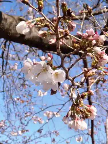 永福寺の庭園