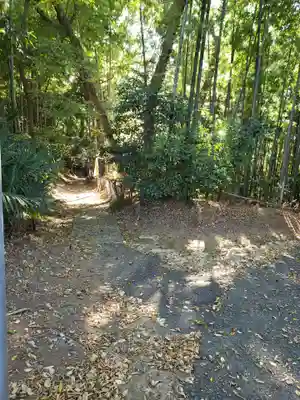 日枝神社の周辺