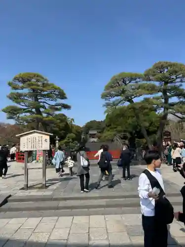 鶴岡八幡宮の景色
