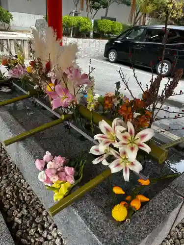 生田神社の{uncategorized: "未分類", other: "その他", undefined: "問題あり", building: "その他建物", grave: "お墓", sacred_gate: "鳥居", guardian: "狛犬", statue: "像", buddha: "仏像", history: "歴史", nature: "自然", garden: "庭園", animal: "動物", pagoda: "塔", temizu: "手水舎", mountain_gate: "山門・神門", sanctuary: "本殿・本堂", subordinate: "末社・摂社", art: "芸術", scenery: "景色", jizo: "地蔵", ema: "絵馬", goshuin: "御朱印", omikuji: "おみくじ", items: "授与品その他", amulet: "お守り", goshuincho: "御朱印帳", eats: "食事", festival: "お祭り", votive_dance: "神楽", shichigosan: "七五三参", wedding: "結婚式", experience: "体験その他", initially: "初詣", around: "周辺", anti_infection: "感染症対策"}