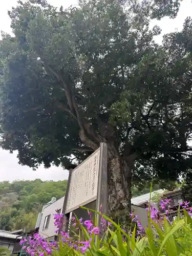 皷楽神社(山梨県)